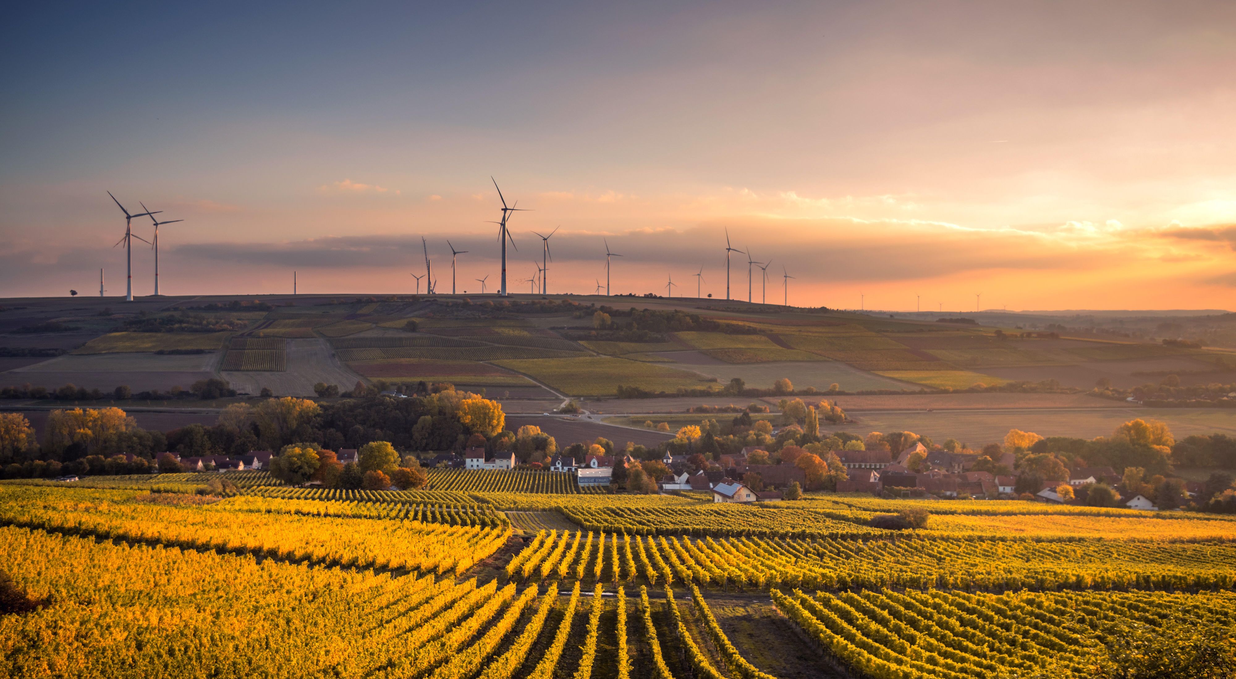 Agricultural fields and wind turbines in the sunset.