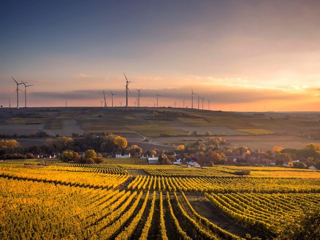 Rolling farm fields at sunset with wind turbines in the background.