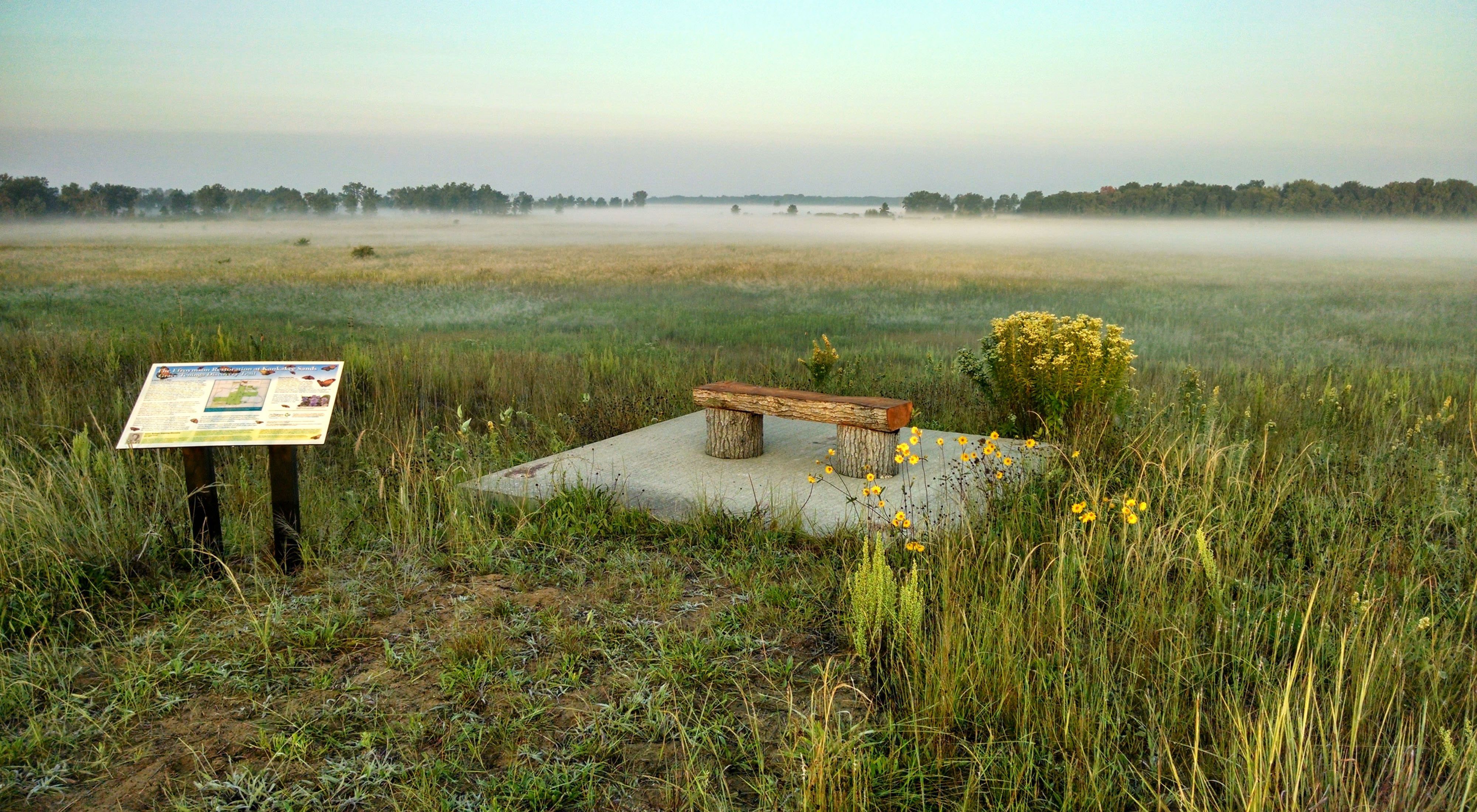 Bench on concrete slab next to interpretive sign on a misty morning on the prairie.