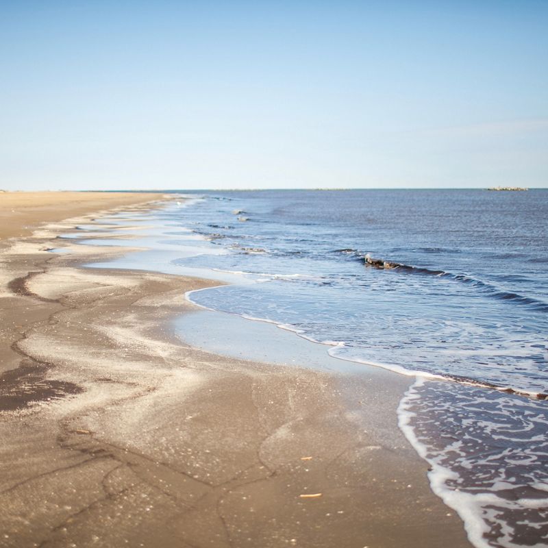 Beach on Grand Isle in the Gulf.