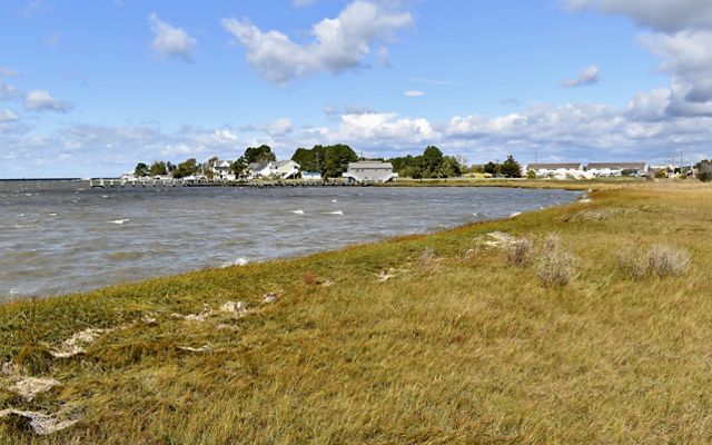 Houses sit in the distance behind a body of water and grassy field.