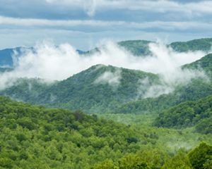 Thick mist rises from the deep valleys of rolling green mountain tops.