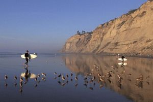 Surfers carry their boards along a beach lined with birds, bordered by a steep bluff over the ocean.