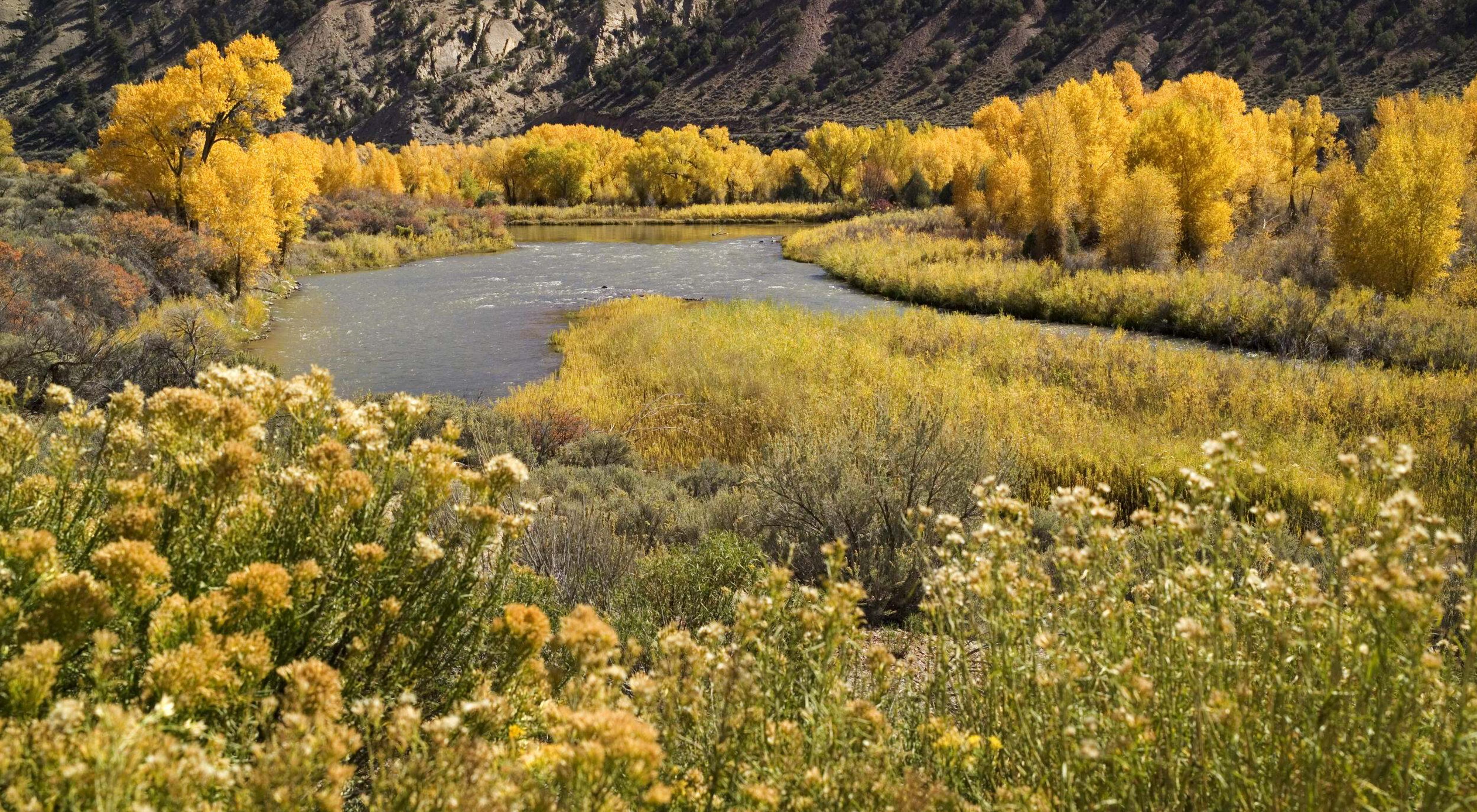Golden yellow trees and vegetation line the banks of a river.