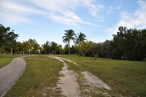 Trails running through urban park with grassy area and trees.