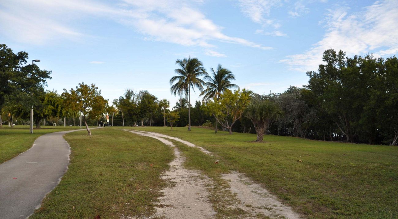 Trails running through urban park with grassy area and trees.