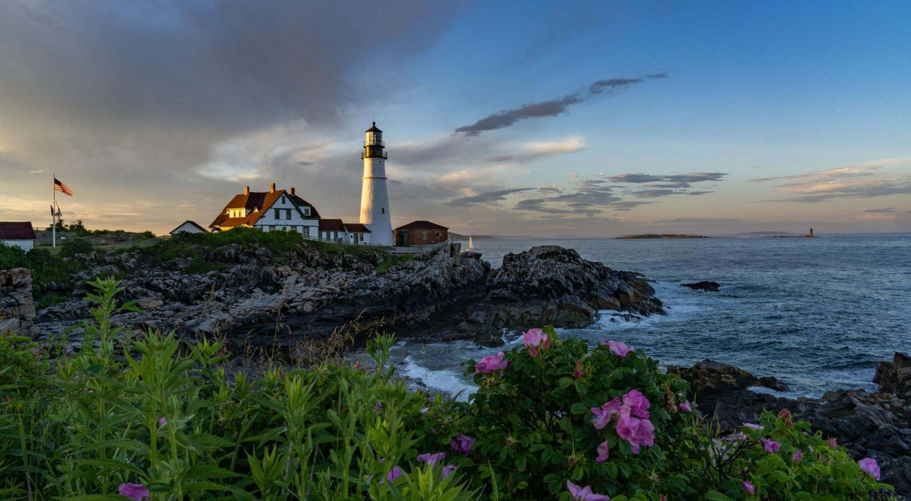 Lighthouse along rocky coastline with wildflowers in the foreground.