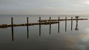 Posts in a tranquil river at sunrise.