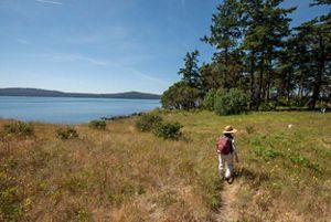 Person walks in a meadow alongside a body of water.