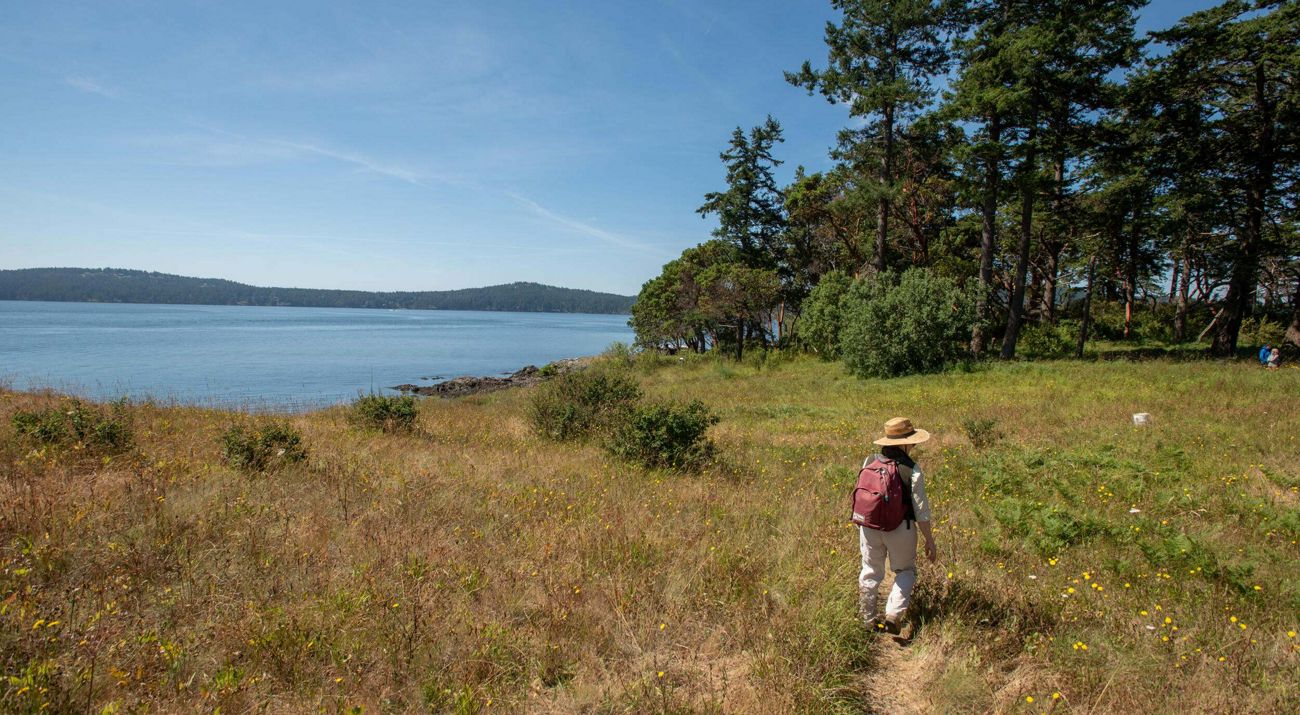 Person walks in a meadow alongside a body of water.