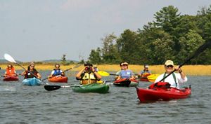 Group of people kayaking.