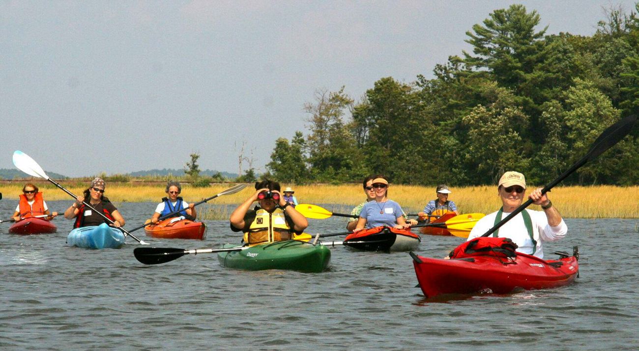 Group of people kayaking.
