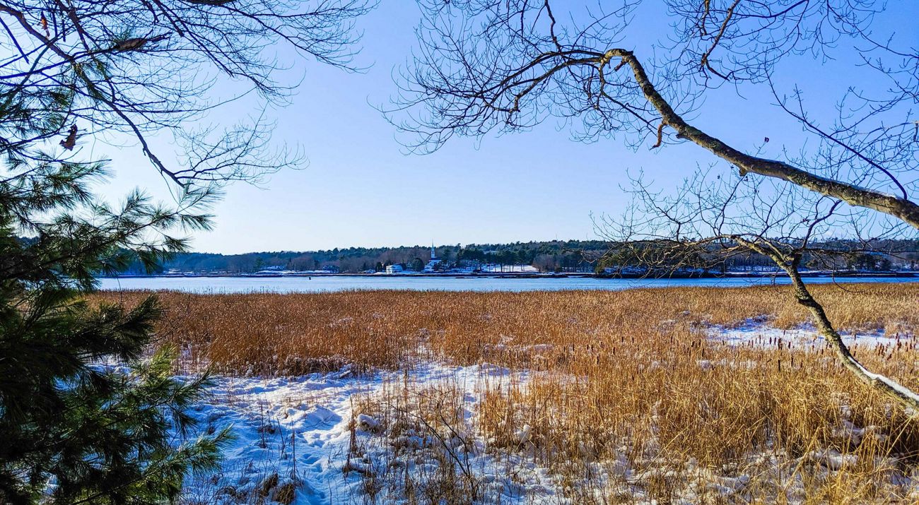 Snowy field in winter with bay in the distance, framed by tree branches.