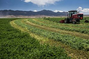 A tractor plows over farmland with mountains in the background.