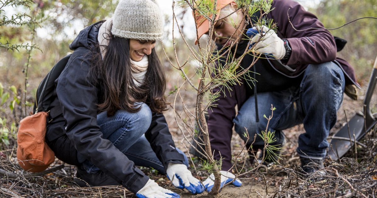 Climate Action in New Hampshire | TNC