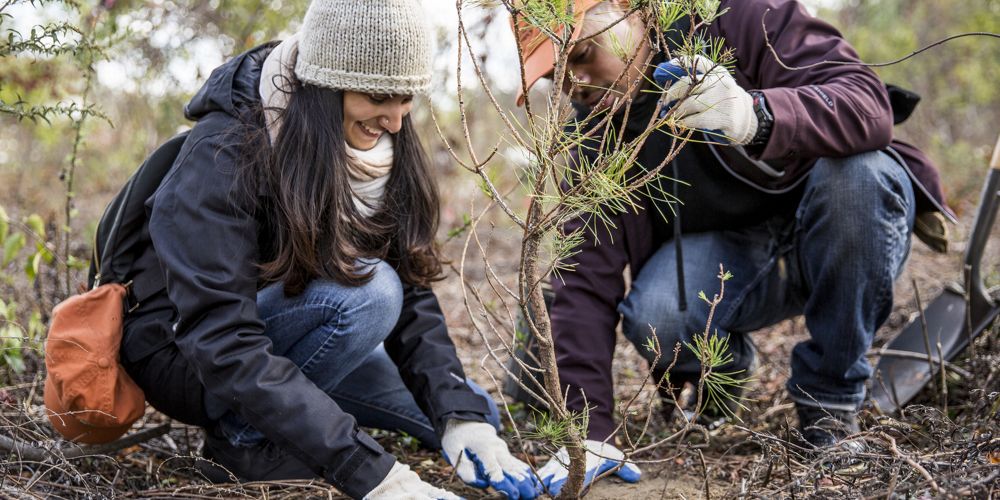 People volunteering in nature.