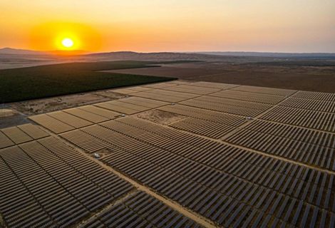 Overhead view of solar panels on the ground with the sun setting in the distance.