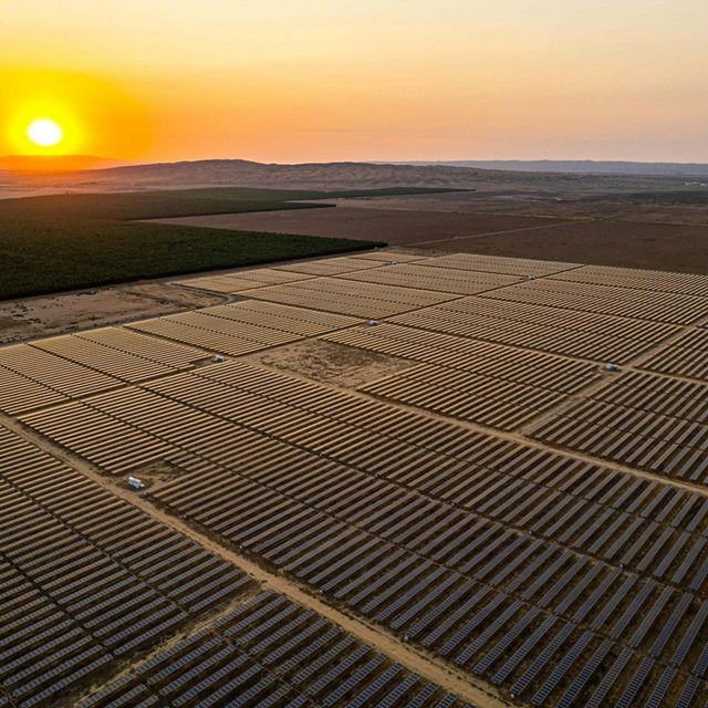 Overhead view of solar panels on the ground with the sun setting in the distance.