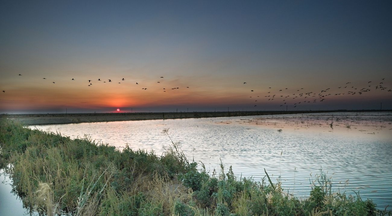 Capinero Creek Recharge Site with Birds Overhead at Sunset