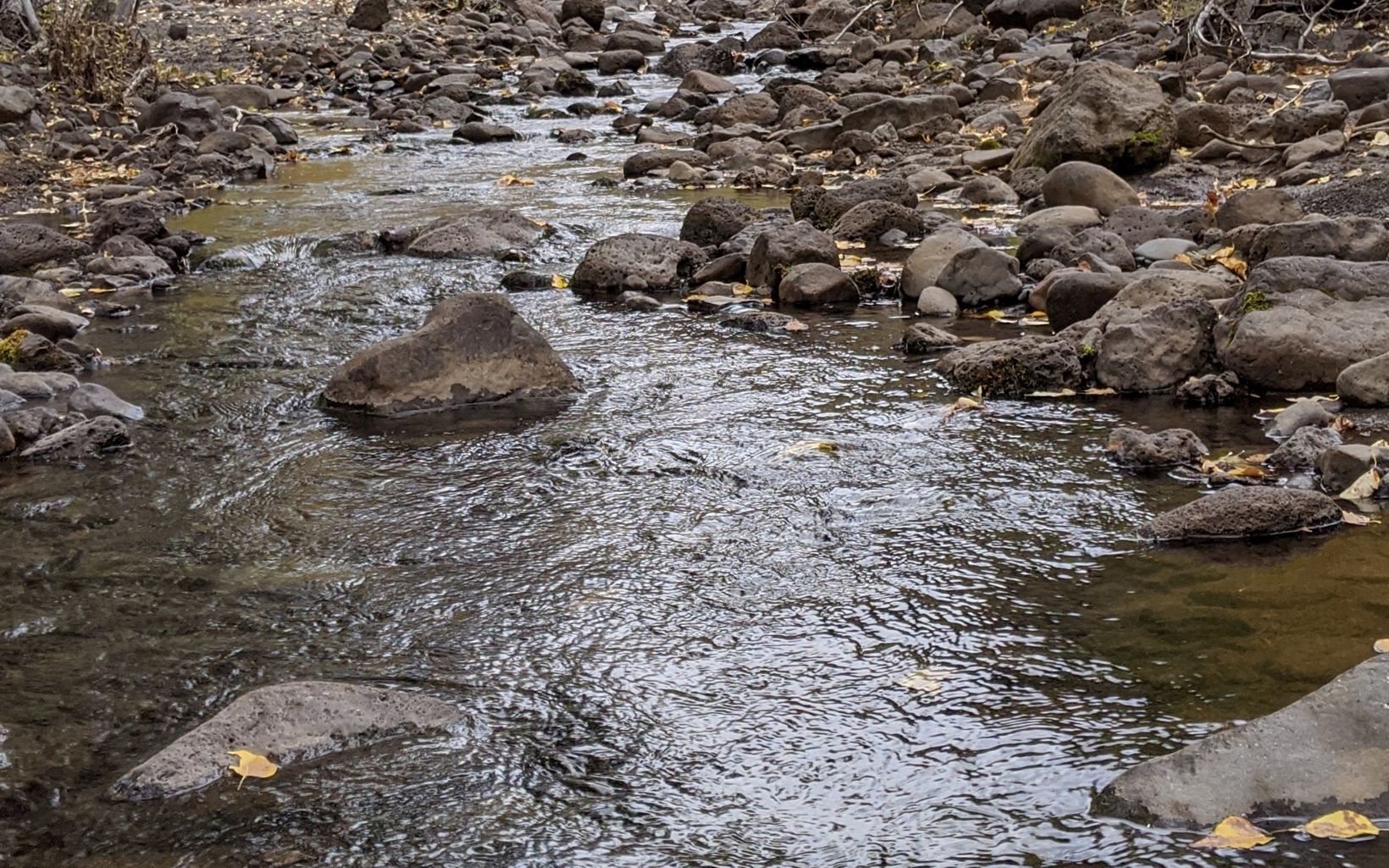 The Little Blitzen The Little Blitzen River relies on groundwater for its consistent flow. © Zach Freed