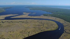Huge mats of marsh border a winding river as it empties into a vast, blue bay. 