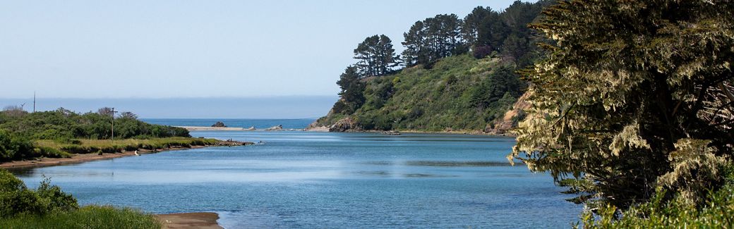 The Navarro River