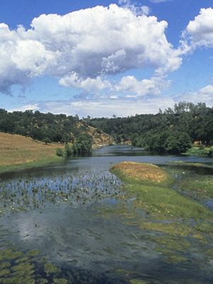 Cosumnes River's Michigan Bar