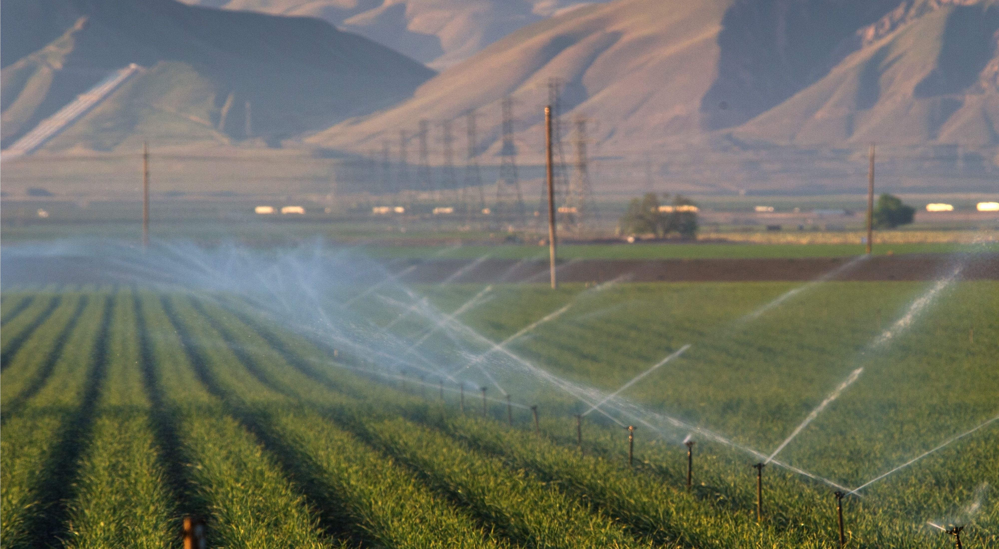 Water sprinkling over rows of crops in a farm field with arid mountainsides in the distance.