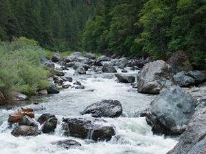 Community enjoying the South Yuba River