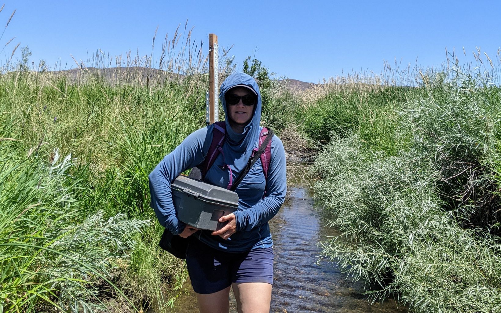 A staff member holds a streamflow measuring device while standing in a stream in a grassy field on a sunny day.