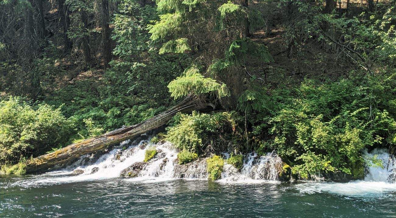 Water cascades down into springs from forested hillside.