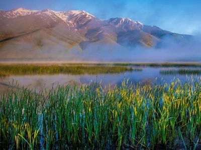 Grasses grow in front of the calm waters of a lake located at the foot of a mountain.
