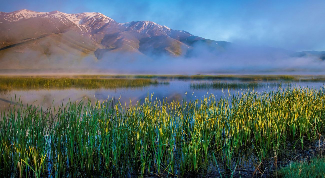Wetlands in Ruby Valley, NV