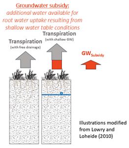 Groundwater subsidy