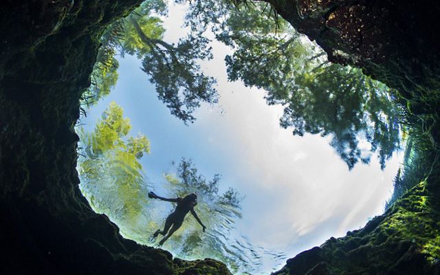 Looking up at a snorkeler floating on the surface of a clear spring.