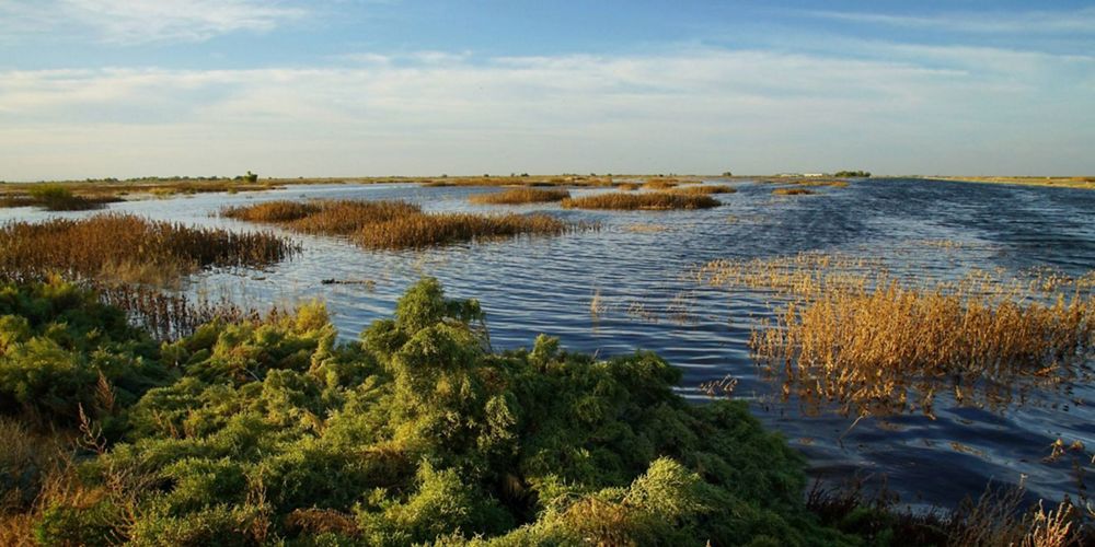 San Joaquin Valley Delta