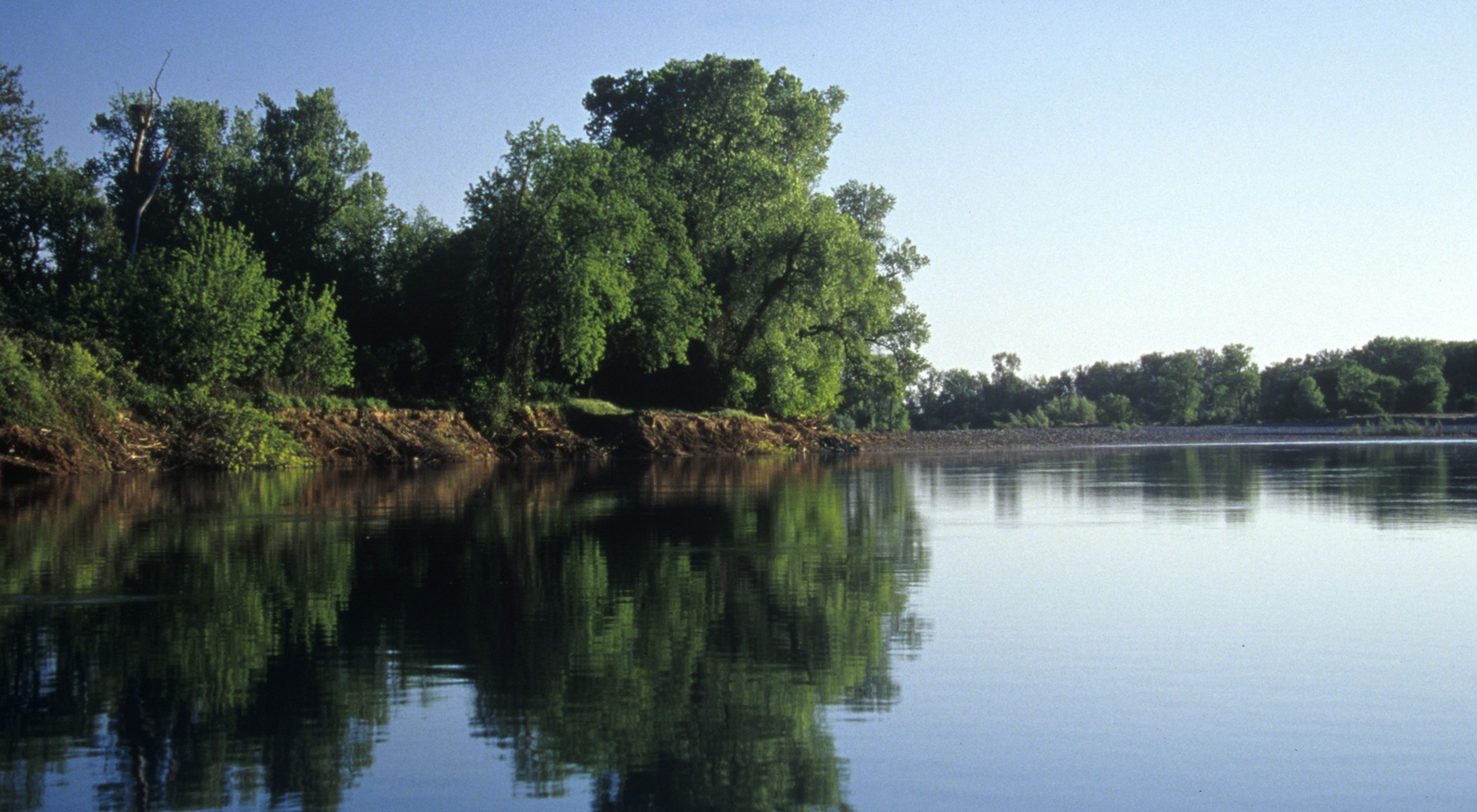 View of tranquil river lined by trees with clear sky overhead.
