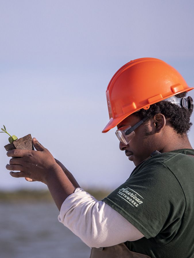 A crew member in a hard hat holds up a seedling.
