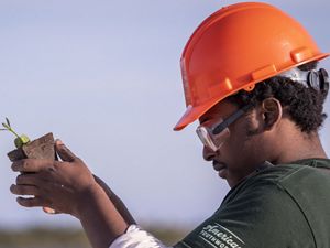 A young adult wearing an orange hard hat holds a plant on a beach.