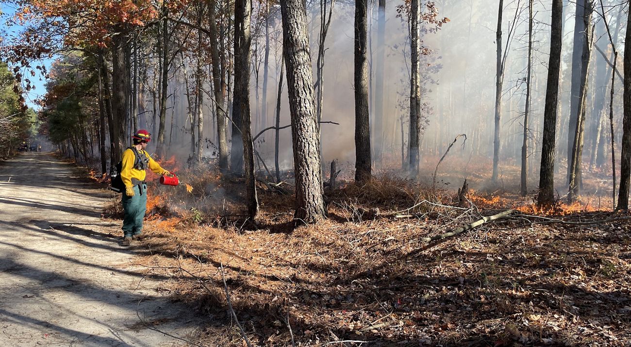 A person stands where a cleared trail meets a forest line, holding a red fire ignitor.