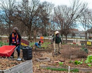 Two people do gardening work in an urban garden.