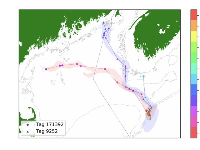 Map and chart with two lines showing the path of two fish over the course of a year as they swim through the Gulf of Maine.