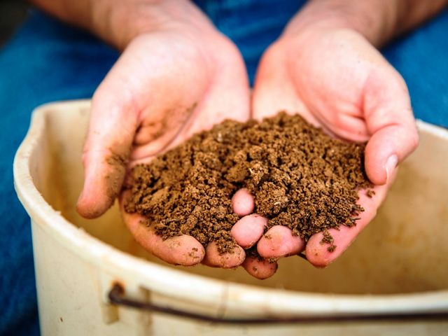 Healthy soils are important to growing food, supporting wildlife and storing carbon.