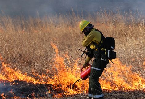A wildland firefigther working on a controlled burn.