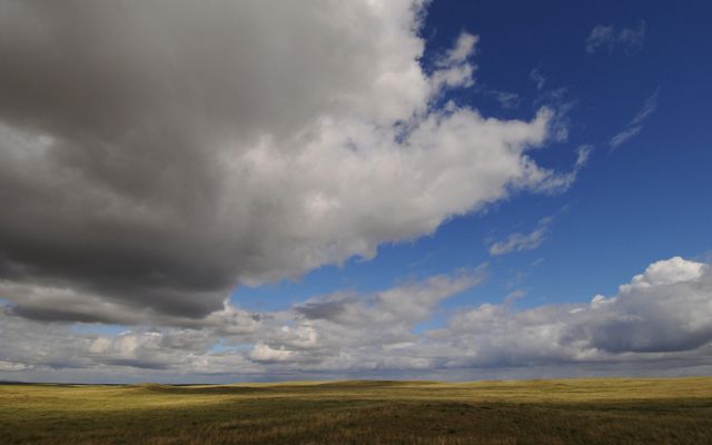 View of expansive grassland in Mongolia