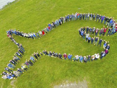 An aerial view of people forming a fish-shaped line.