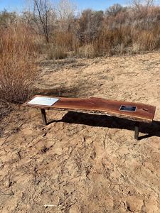 A bench made from a plank of wood stands in a landscape.