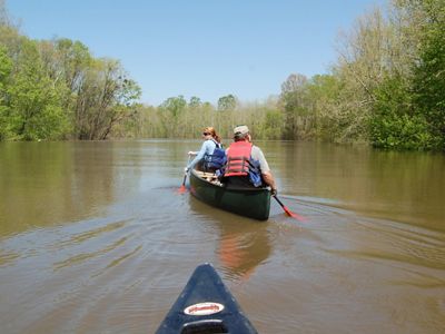 Two people in life jackets paddle a muddy river that is lined with trees.