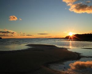 Sunset over forest preserve