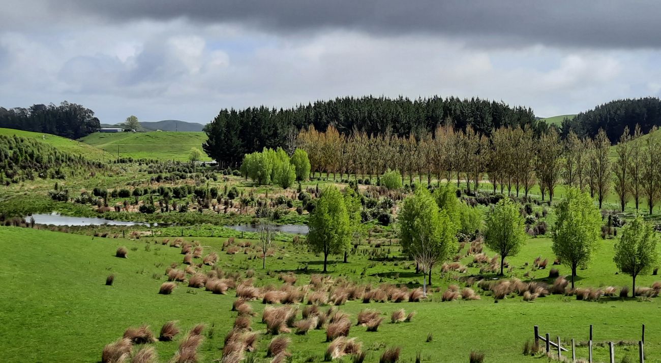 View looking across a rolling green landscape, with a body of water and trees meandering through the hills.